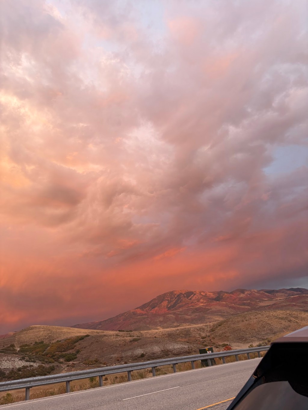 What did you learn in your social media posts that you’d do differently if you could go back?