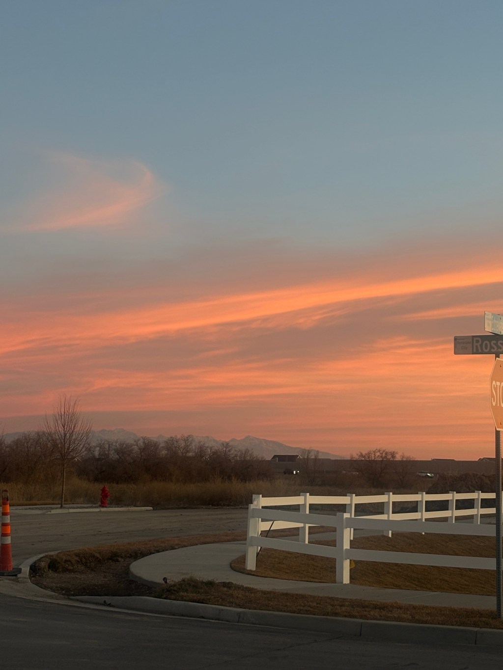 Project – Feature Article