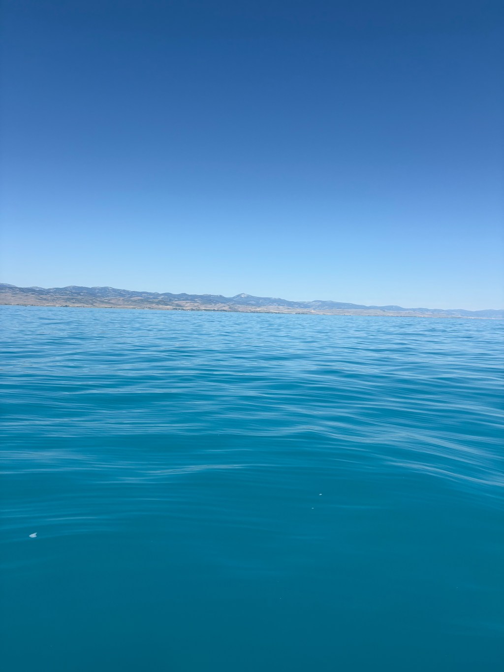 Will AI threat humans and their&nbsp;jobs?